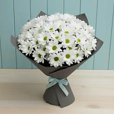 Букет цветов из:  Хризантемы в Кокоревке