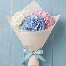 Букет цветов из:  Гортензия в Кокоревке