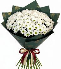 Букет цветов из:  Хризантемы #REPLACE_PRED# Кокоревке