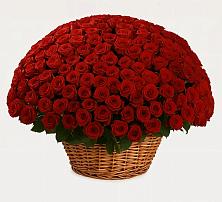 Премиум букет из: Розы в Кокоревке